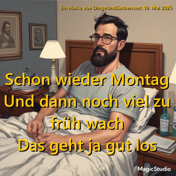 DingeUndSachen.net Haiku 19. Mai 2025